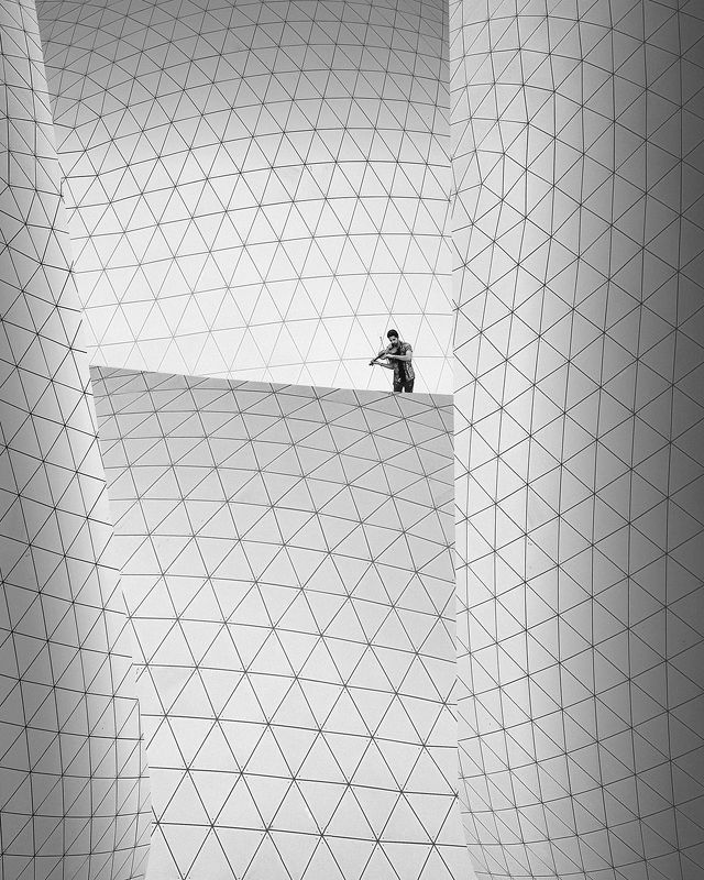 Honeycombphoto preview