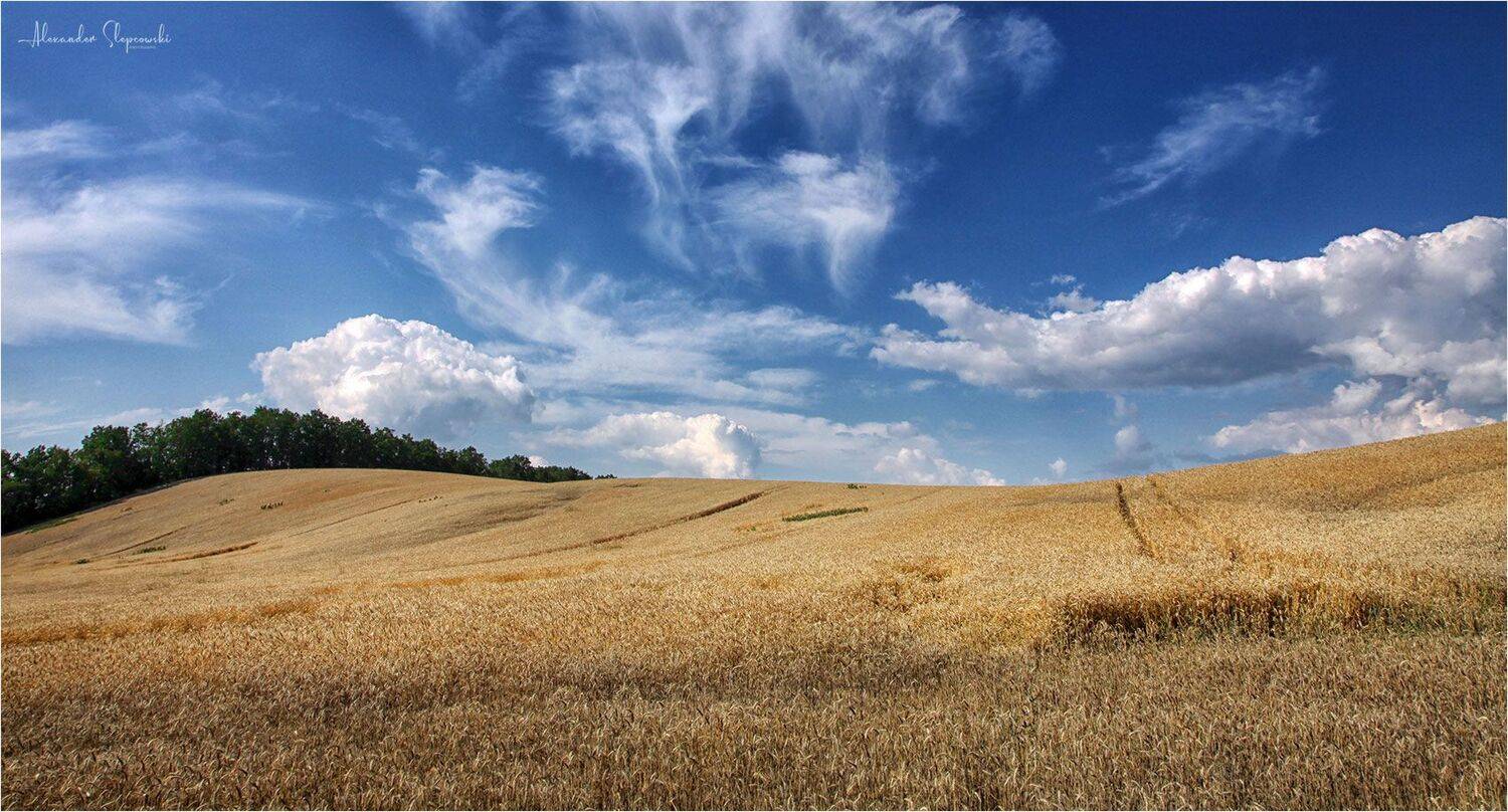 Our daily bread.... Автор: Alexander Slepcowski blue sky, Alexander Slepcowski