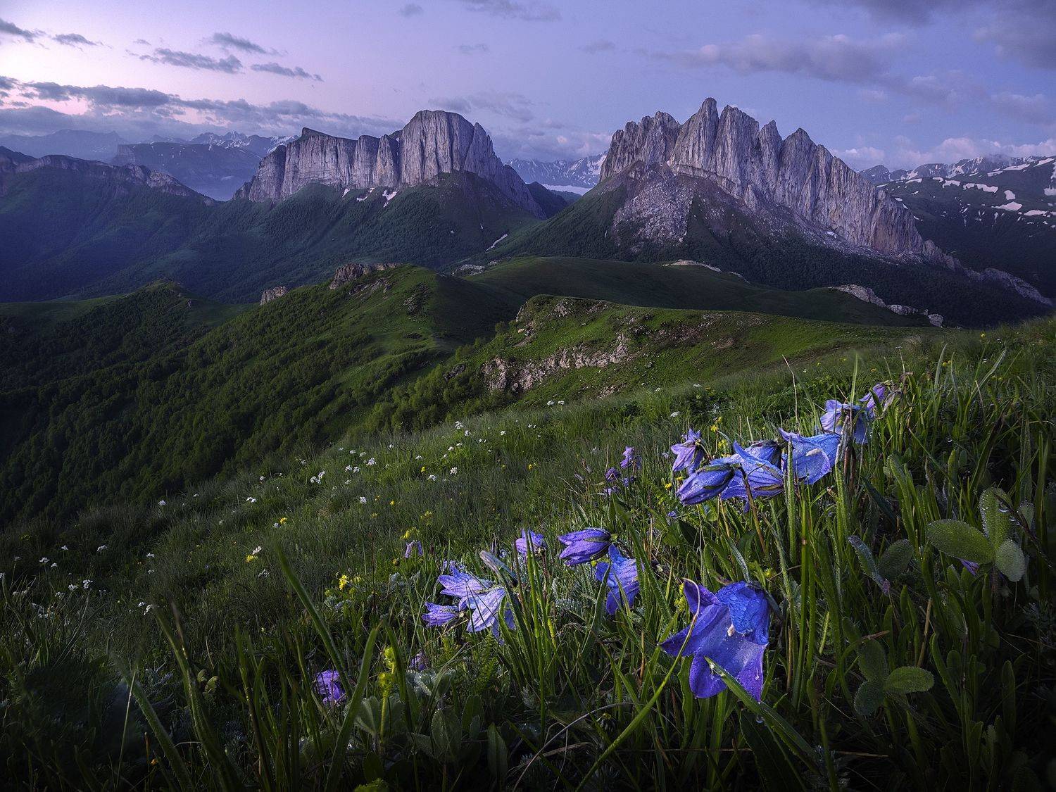 Ачешбоки. Автор: Андрей Родионов , Андрей Родионов