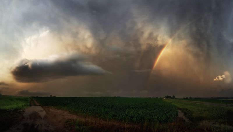 Беларусь Полями, вечерамиphoto preview
