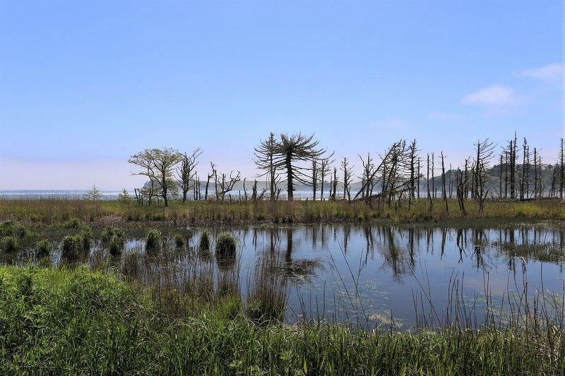 Шикотан, Дальний Восток, Курилы, Курильские острова, бухта Церковная Последствия цунами на острове Шикотан фото превью