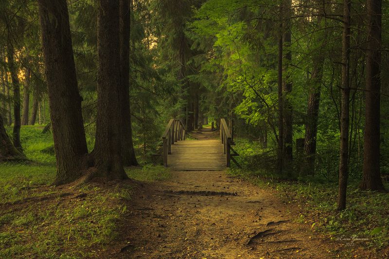 щелыково, кострома, костромская область photo preview