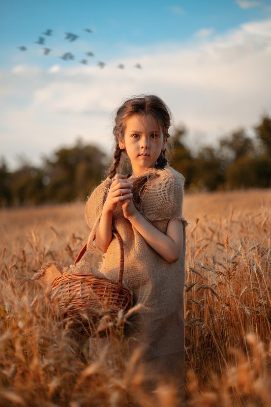 Wheat Fieldphoto preview