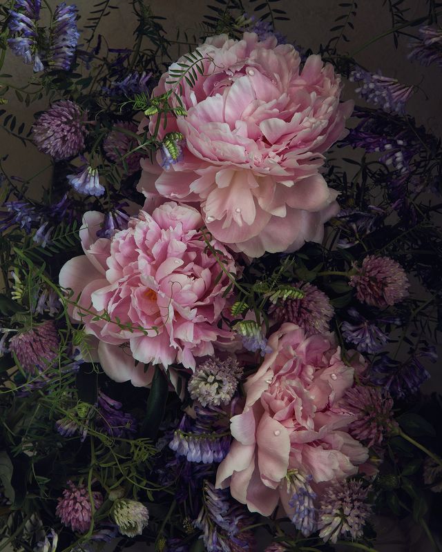 Пионыphoto preview