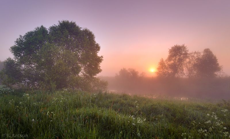 пейзаж, природа, рассвет, туман, река Начинается новый деньphoto preview