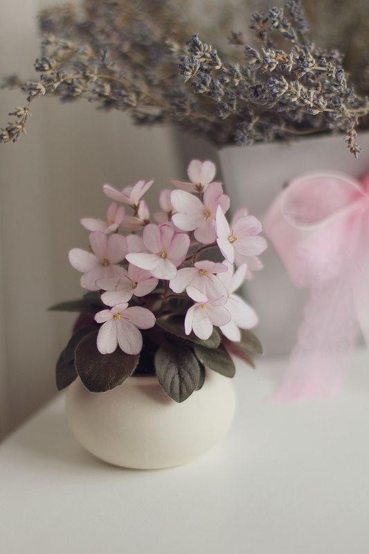 Н-Дюймовочка фото превью