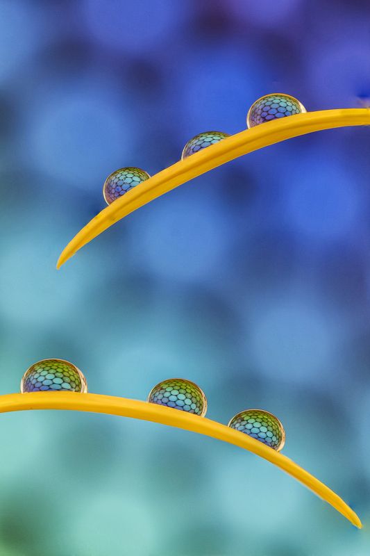 water, drops, LITTLE SYMPHONY XIphoto preview