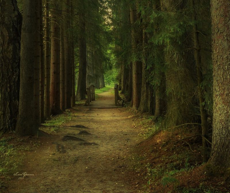 щелыково, кострома, костромская область photo preview