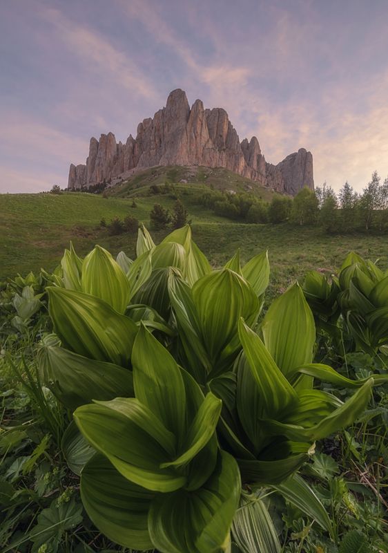 западный кавказ, большой тхач, лето, июнь, рассвет У подножия Большого Тхачаphoto preview