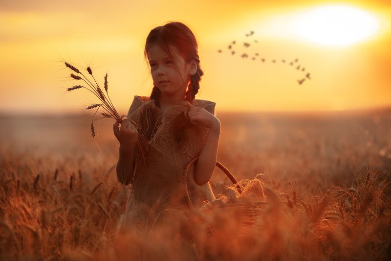 Wheat Fieldphoto preview