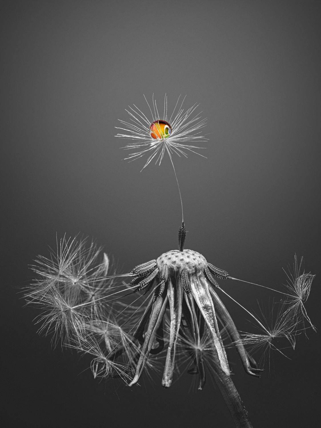 Автор: Татьяна Гореславец , Татьяна Гореславец