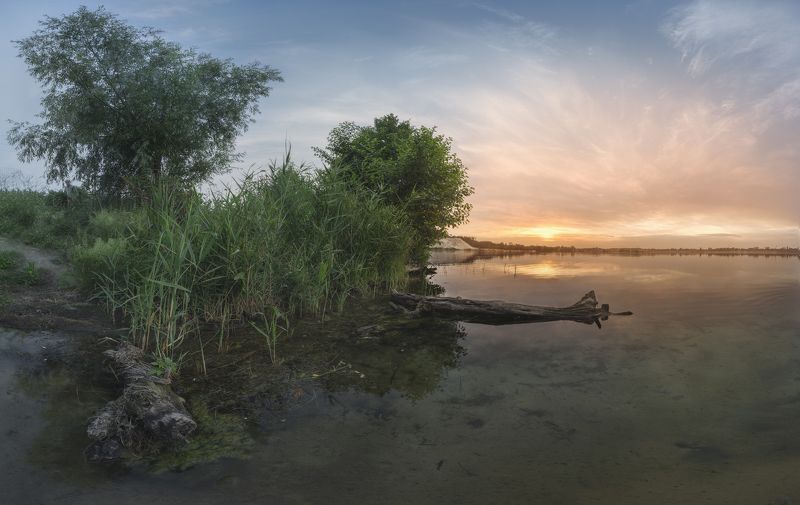 Камыш...photo preview