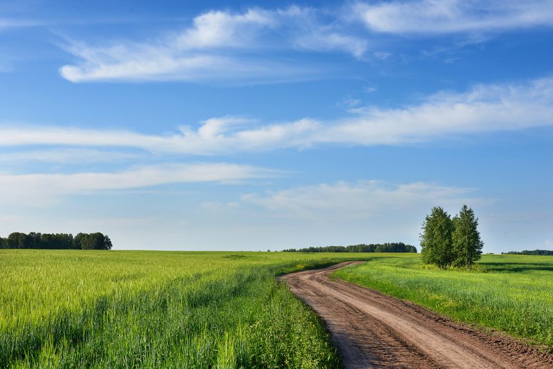 Дорогаphoto preview