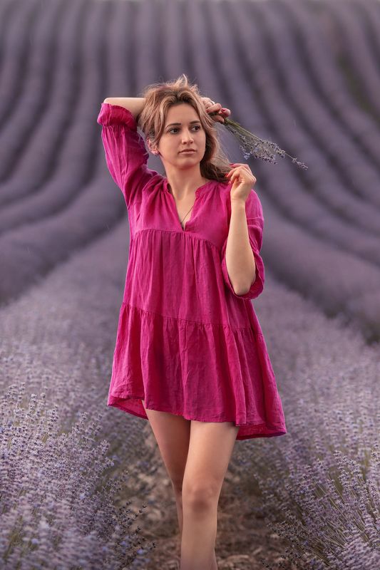 Lavender Fieldsphoto preview