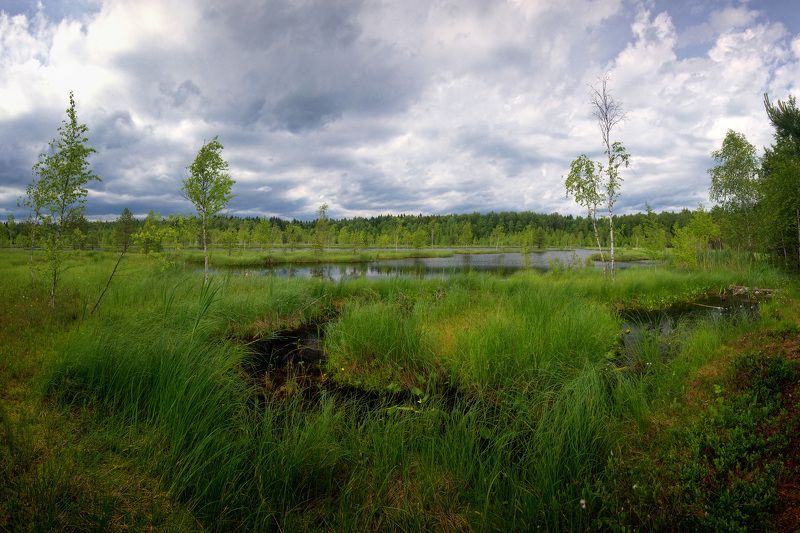 На озереphoto preview