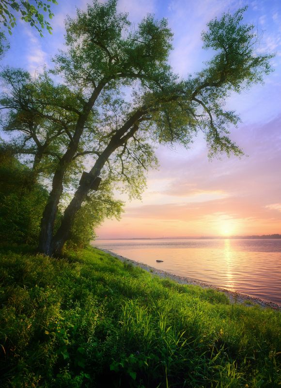 Склонившись над закатом.photo preview