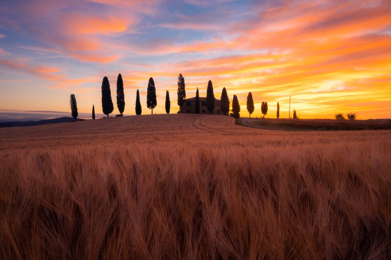 Landscape sunrise sunset tuscany val d\'orcia italy color grain  Stillness Touchphoto preview