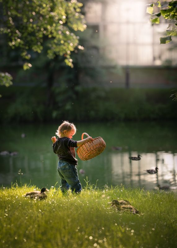 Feeding the ducksphoto preview