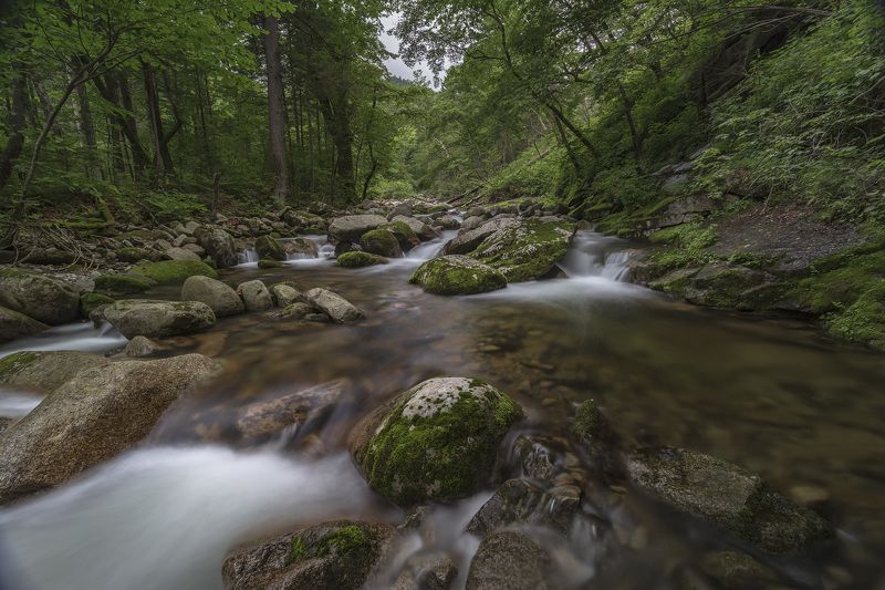 тайга, горы, река photo preview