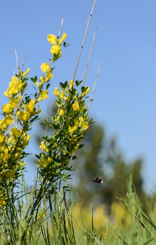 на сладкоеphoto preview