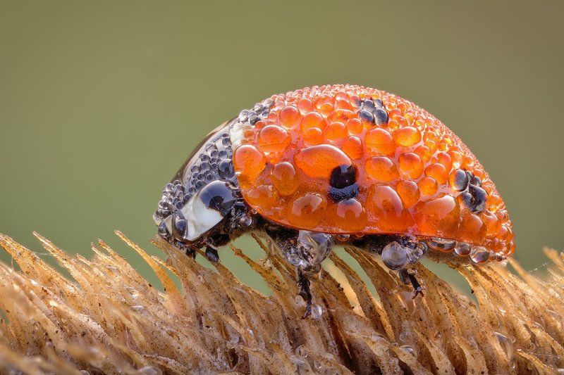 ++++++++photo preview