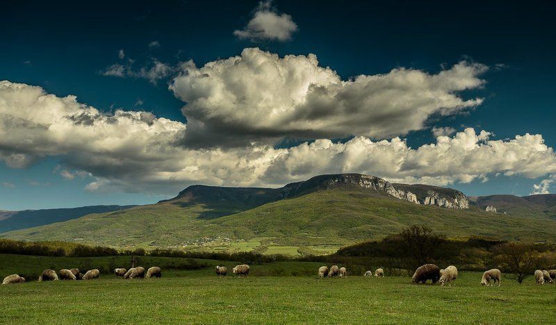 Вид на плато Бойкаphoto preview