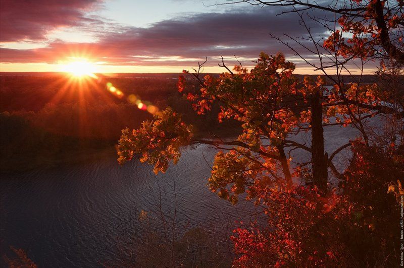 Ветки, Деревья, Кама, Листья, Нижняя Кама, Осень, Река, Старица, Старое русло Осень на Нижней Камеphoto preview