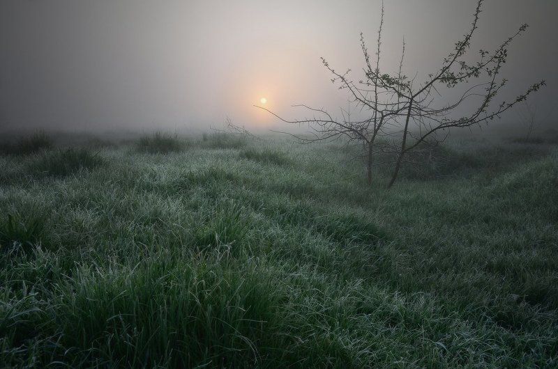 Туман, иней и тишинаphoto preview