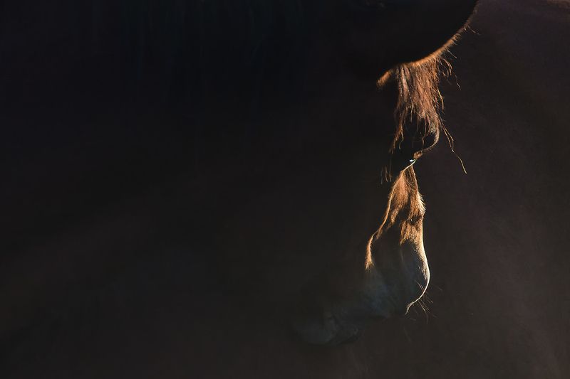 Грустьphoto preview