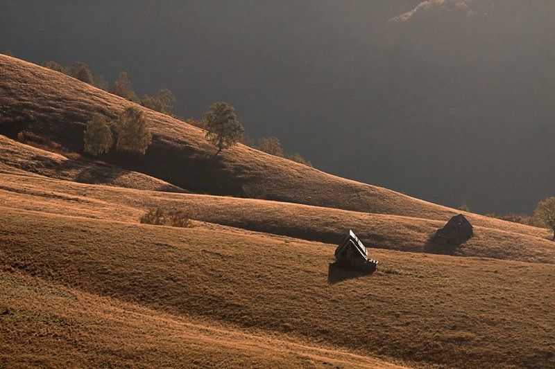 in the mountainsphoto preview