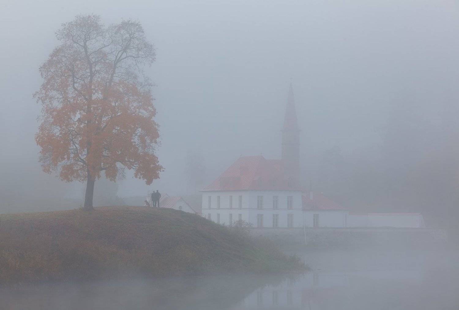 гатчина, приоратский дворец, осень, туман, утро, Alex Darkside