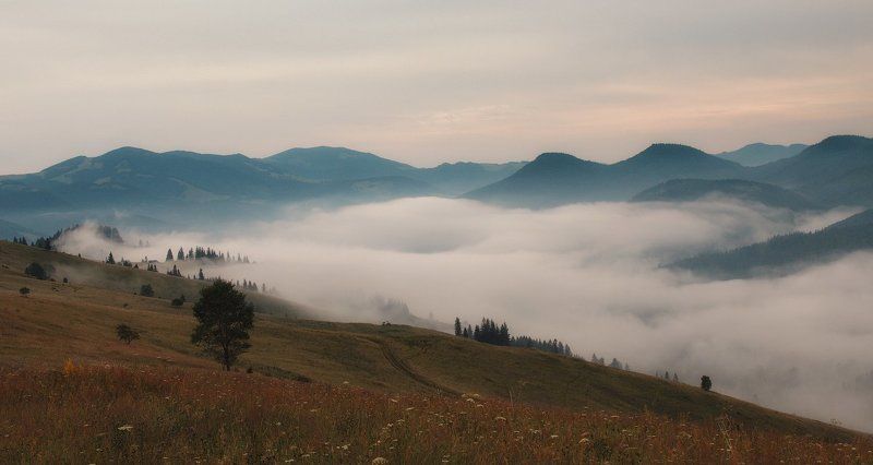 Над туманамиphoto preview