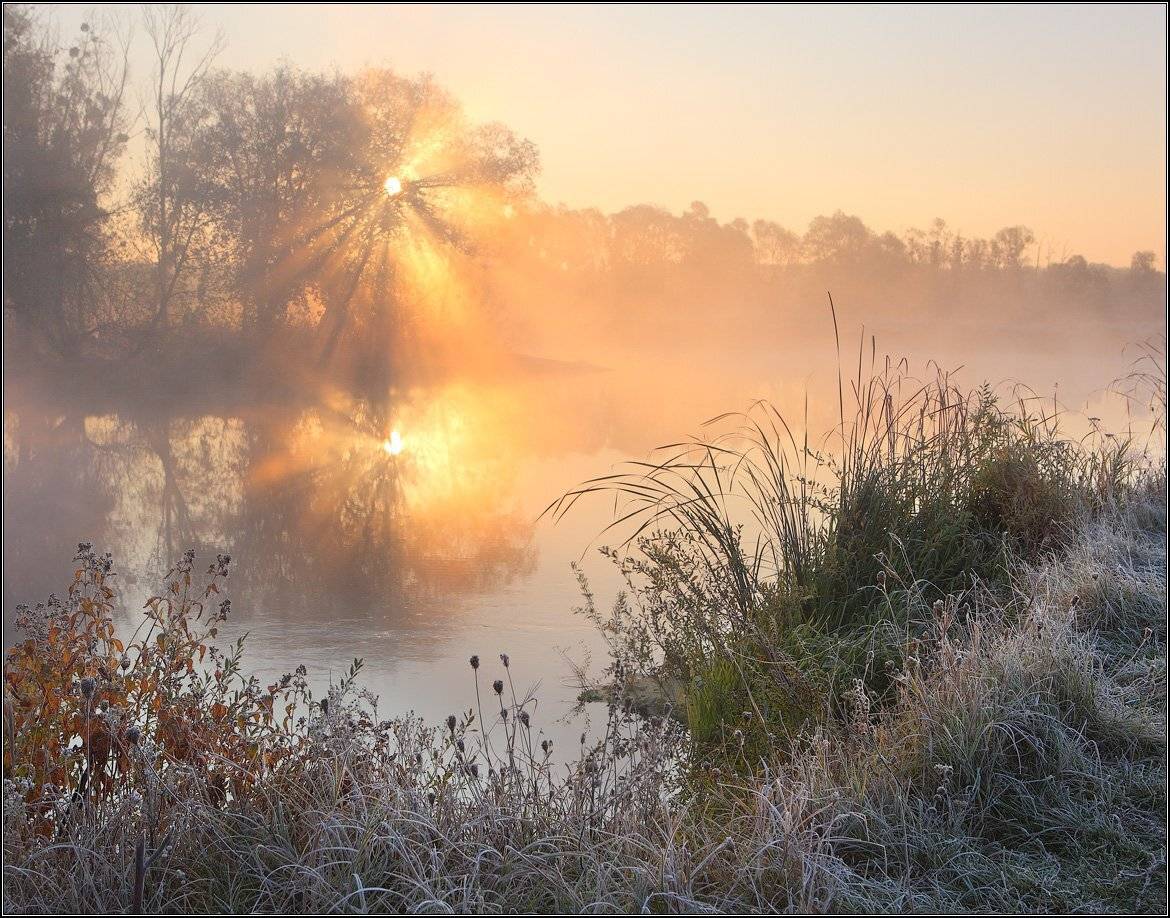Пробуждение. Автор: Михаил (mgk) , Михаил (mgk)