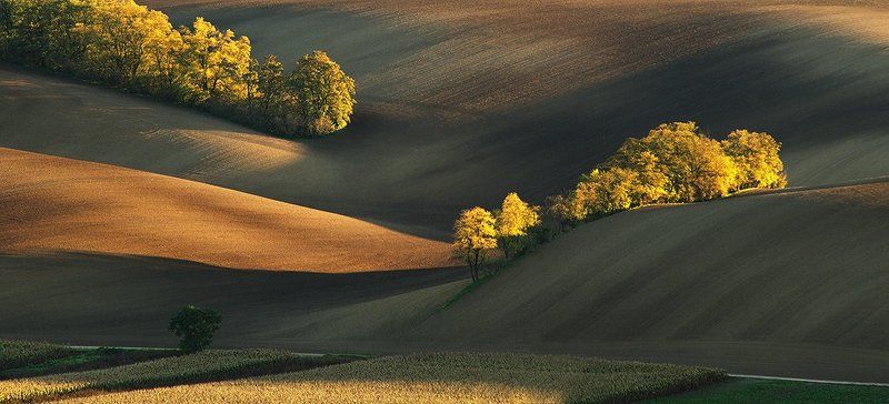 Islands of lightphoto preview