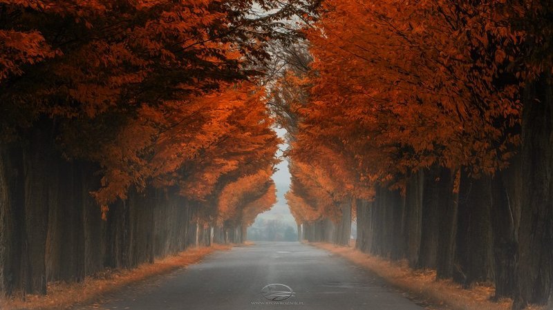 Road to...photo preview