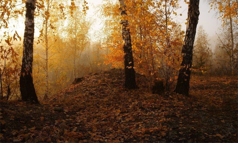 Очей очарованье! фото превью