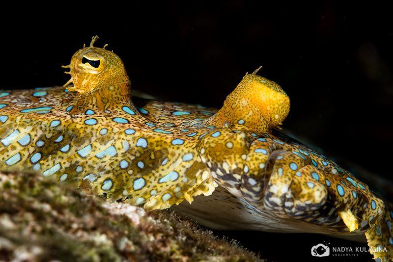 Озадачиласьphoto preview