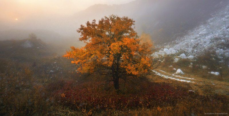 Золото осениphoto preview