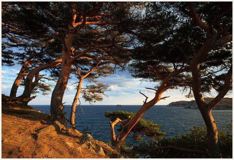 Ежегодное посещениеphoto preview