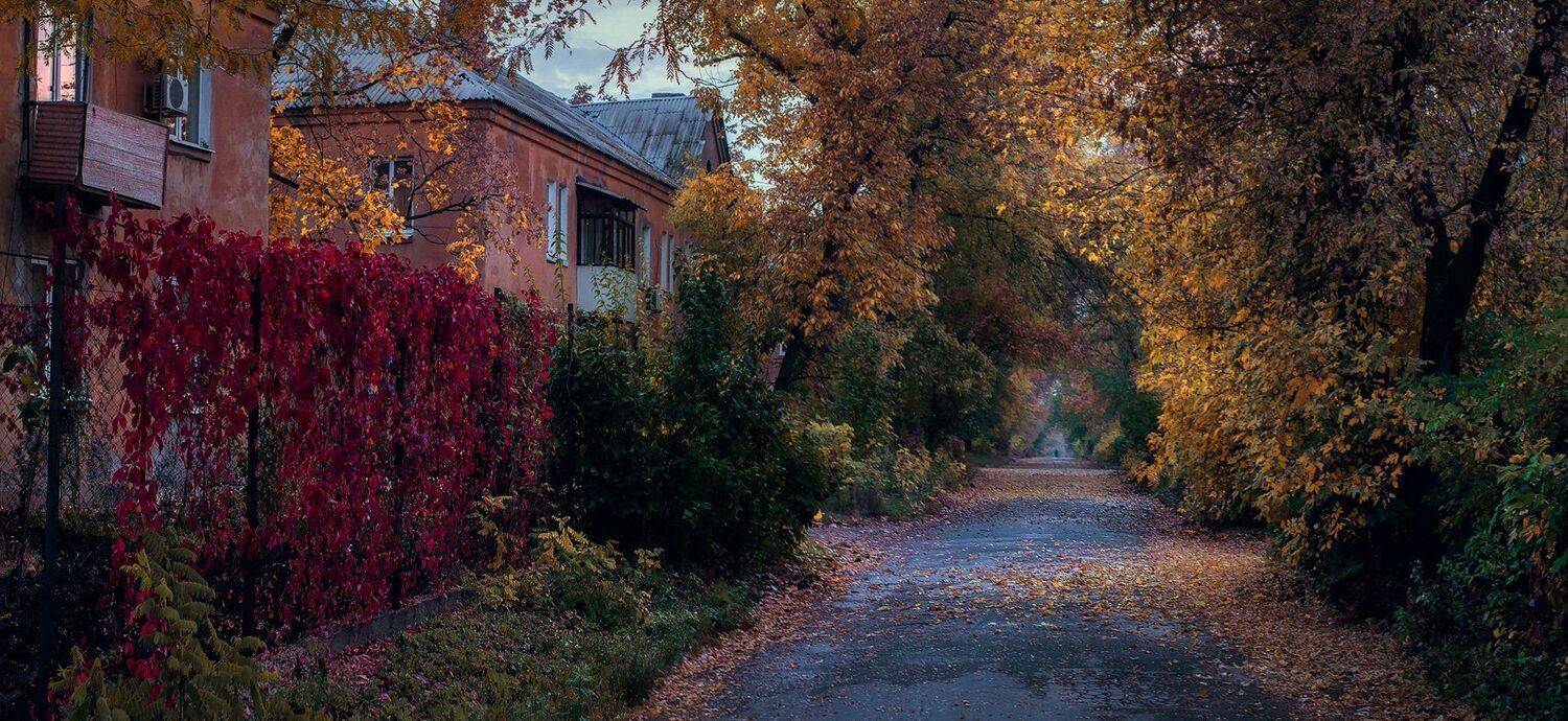 Осень в сталинках. Автор: Игорь Мелекесцев , Игорь Мелекесцев