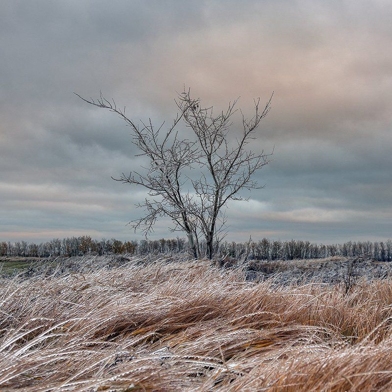 Первые морозыphoto preview