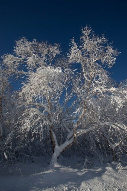 Зимаphoto preview