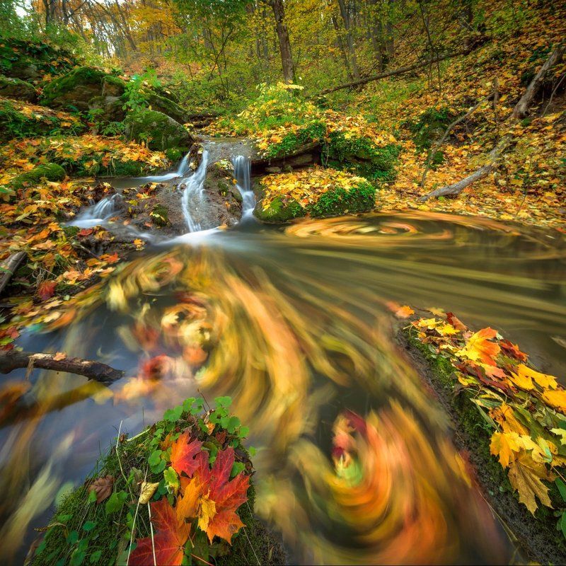 Завиткиphoto preview