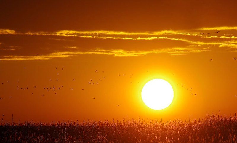 Kazakhstan, Sunrise, Turgay lowland, Восход, Казахстан, Озеро Талдыколь Равняясь на солнцеphoto preview