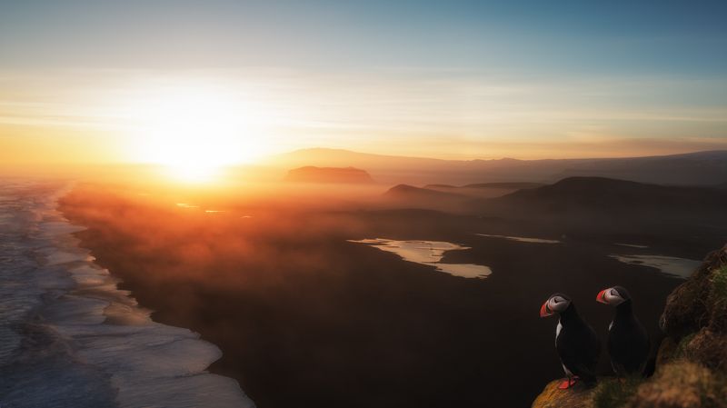 just another day...photo preview