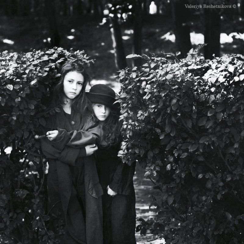 Пташкиphoto preview