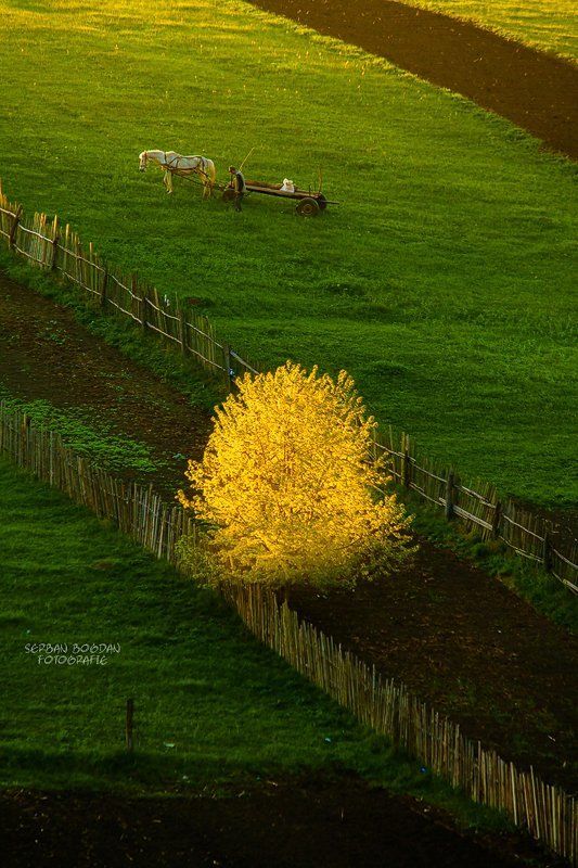 Going homephoto preview