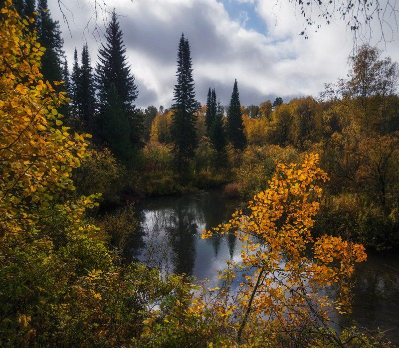 Мгновения Томской осени.photo preview