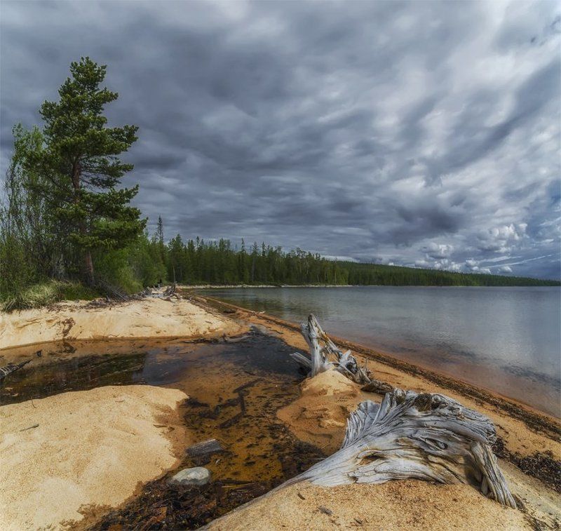 берег, карелия, коряга, лето, небо, озеро, пейзаж, природа, путешествие, север, туризм озеро Имандраphoto preview