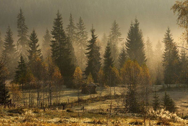 Осенний стелется туман...photo preview